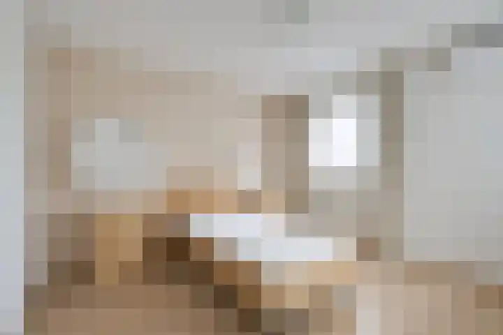 Judostraat 15 A Didam thumbnail 18