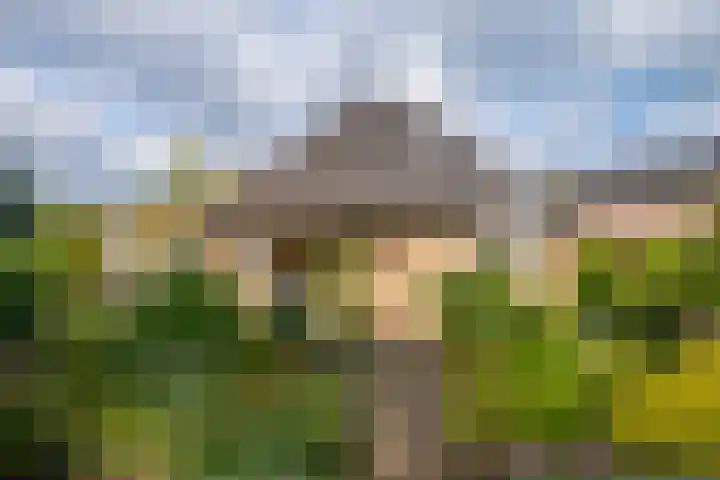 Judostraat 15 A Didam thumbnail 29
