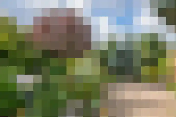 Judostraat 15 A Didam thumbnail 34