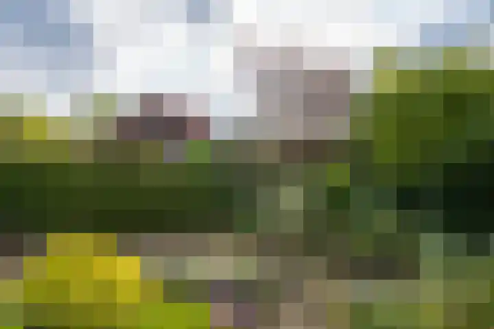 Judostraat 15 A Didam thumbnail 35