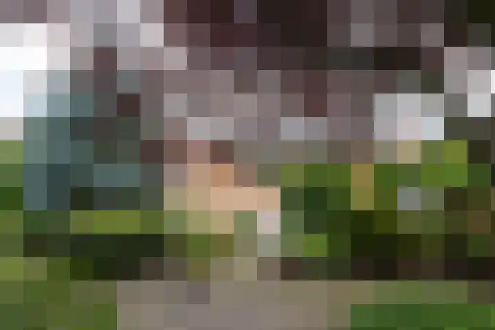 Judostraat 15 A Didam thumbnail 39