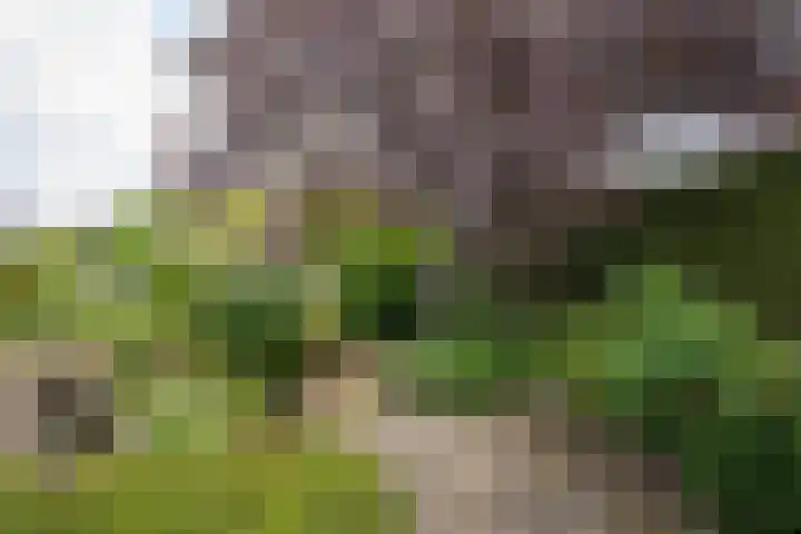 Judostraat 15 A Didam thumbnail 41