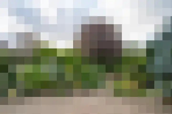 Judostraat 15 A Didam thumbnail 42