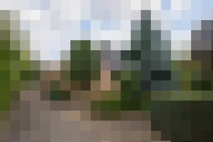 Judostraat 15 A Didam thumbnail 43