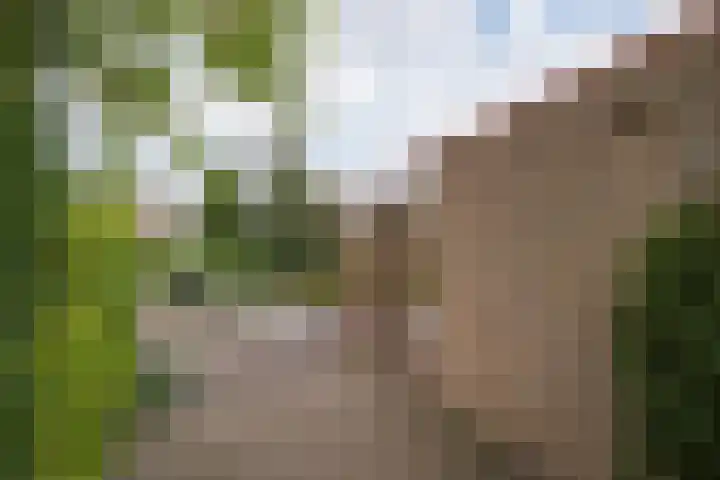 Judostraat 15 A Didam thumbnail 44
