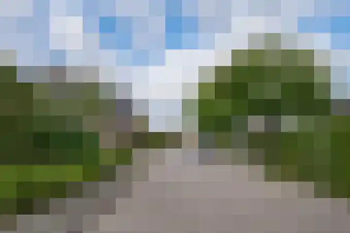 Judostraat 15 A Didam thumbnail 45