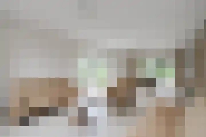 Judostraat 15 A Didam thumbnail 7