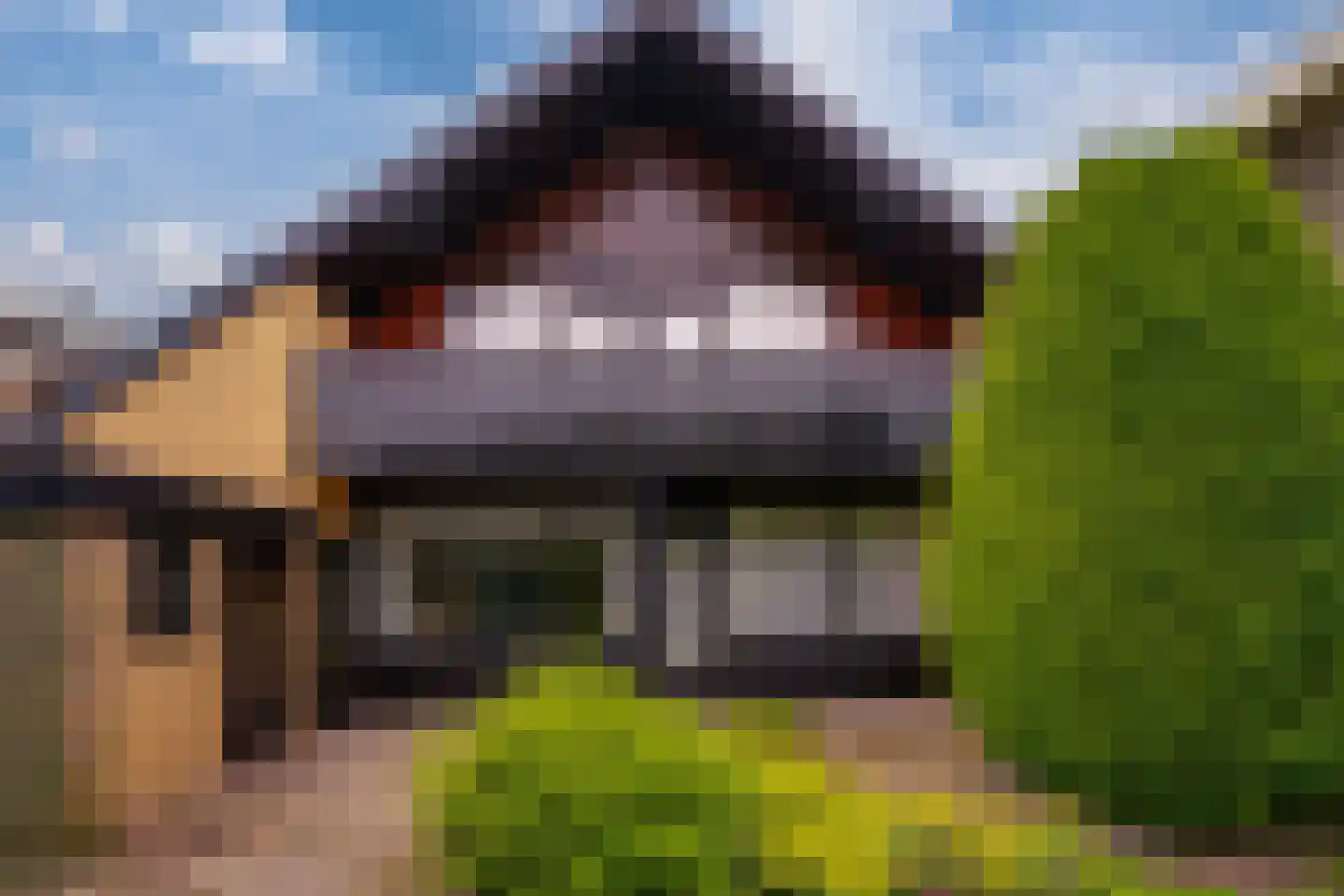 Judostraat 5 Didam thumbnail 17