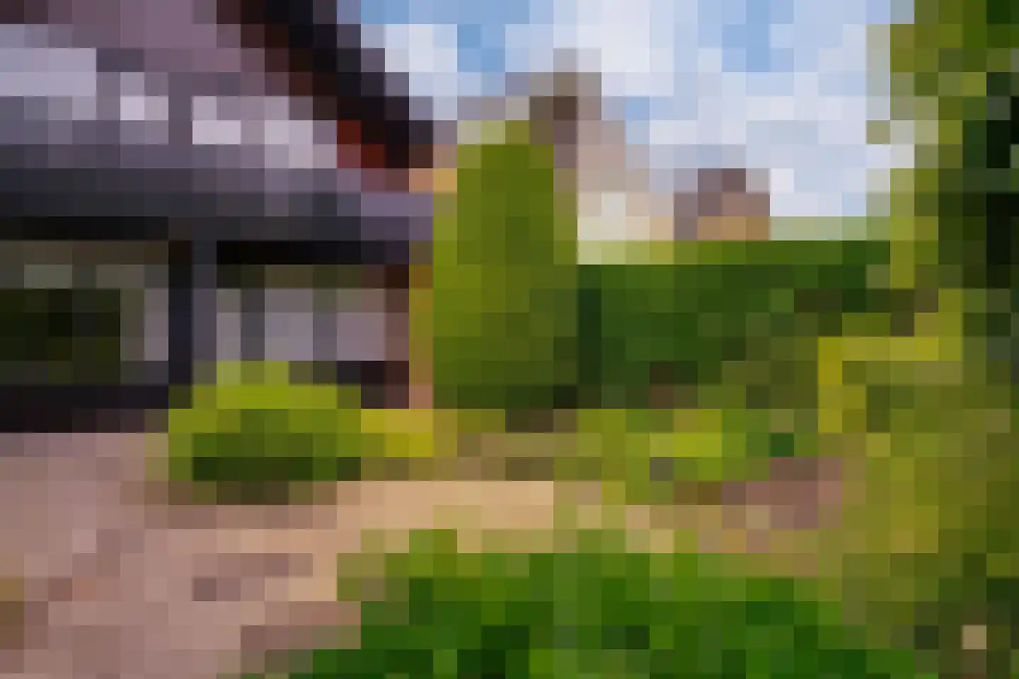 Judostraat 5 Didam thumbnail 19