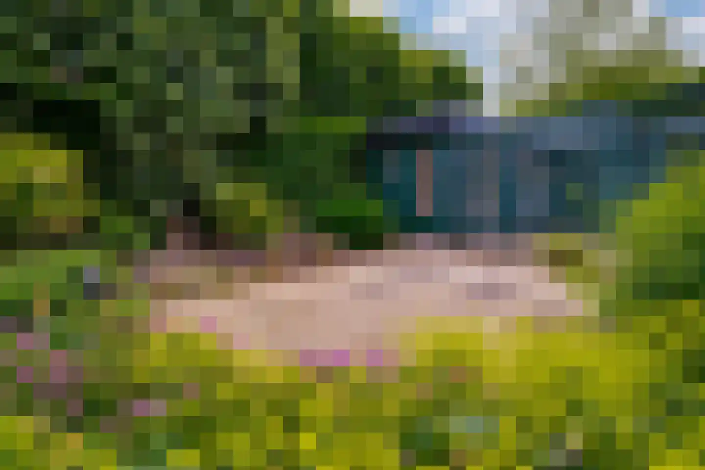 Judostraat 5 Didam thumbnail 21