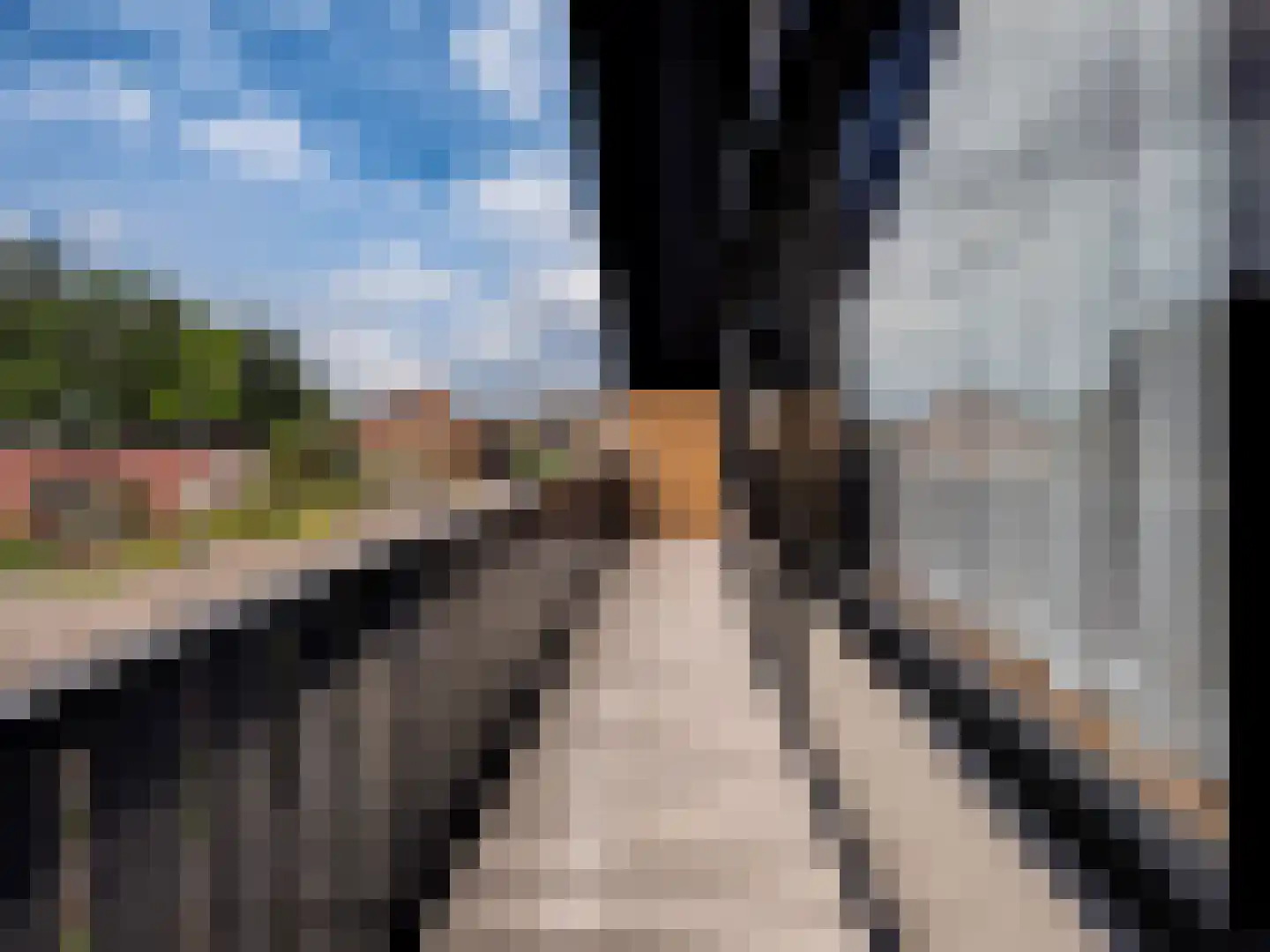 Judostraat 5 Didam thumbnail 28
