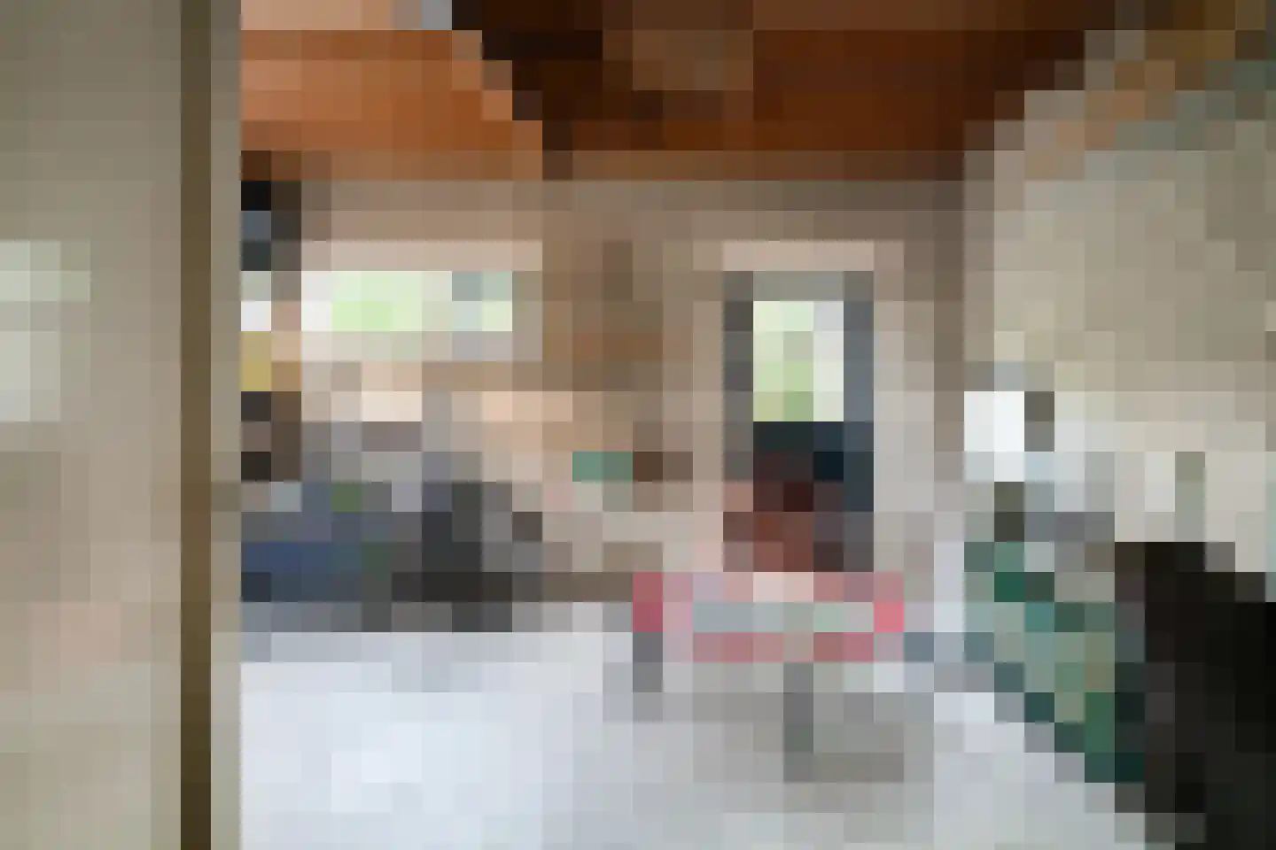 Judostraat 7 Didam thumbnail 27