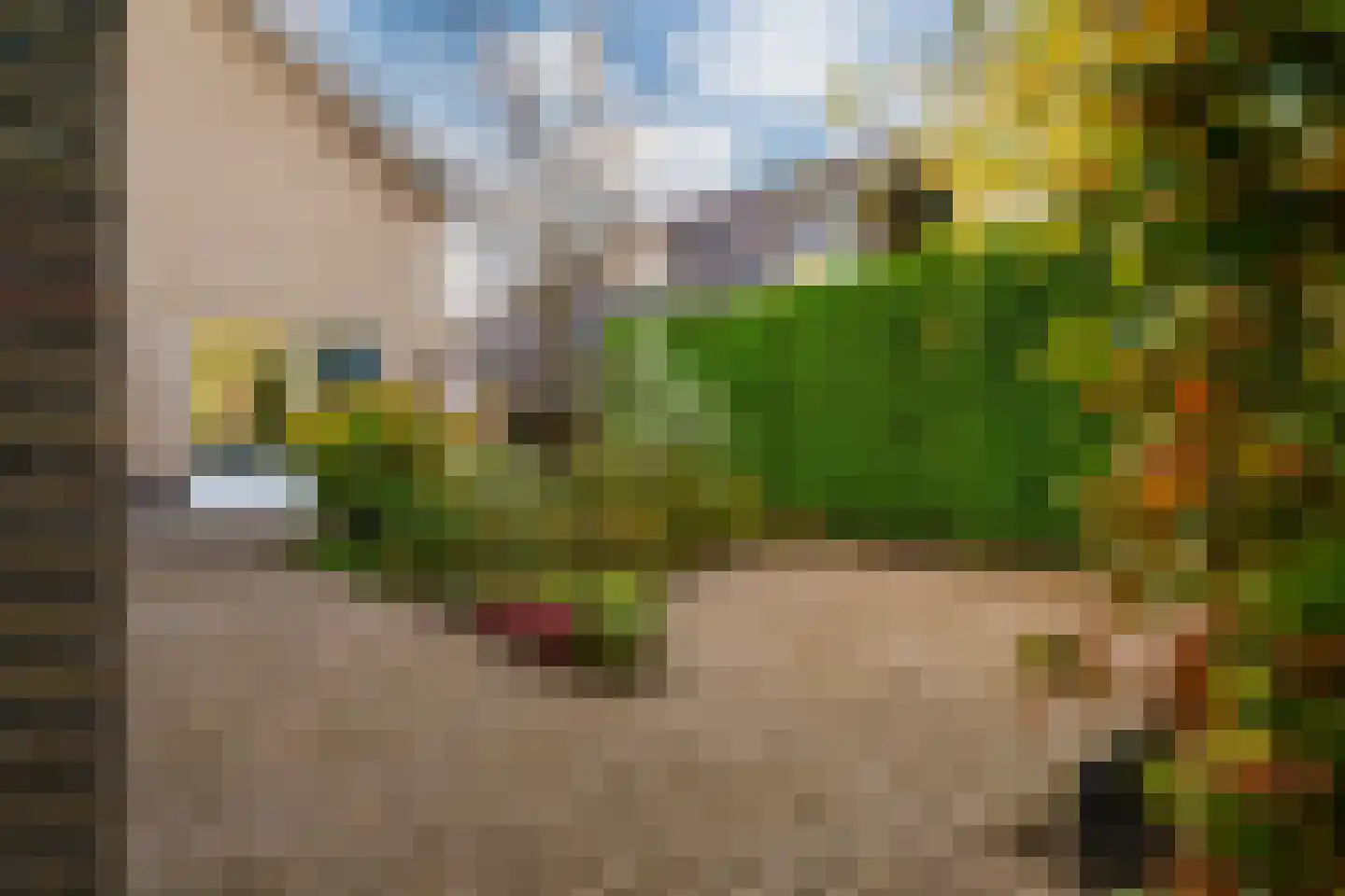 Judostraat 7 Didam thumbnail 33