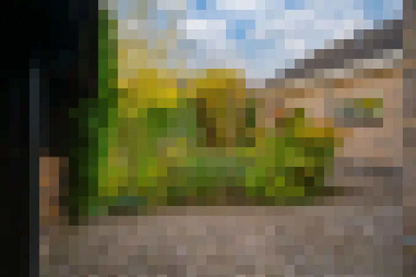 Judostraat 7 Didam thumbnail 36
