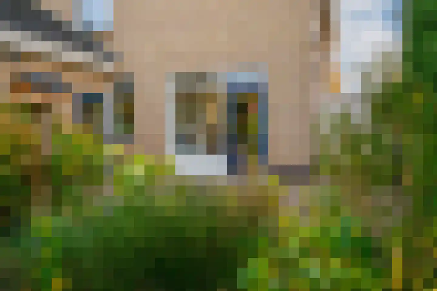 Judostraat 7 Didam thumbnail 37