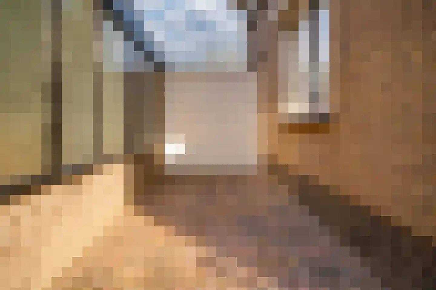 Judostraat 7 Didam thumbnail 40