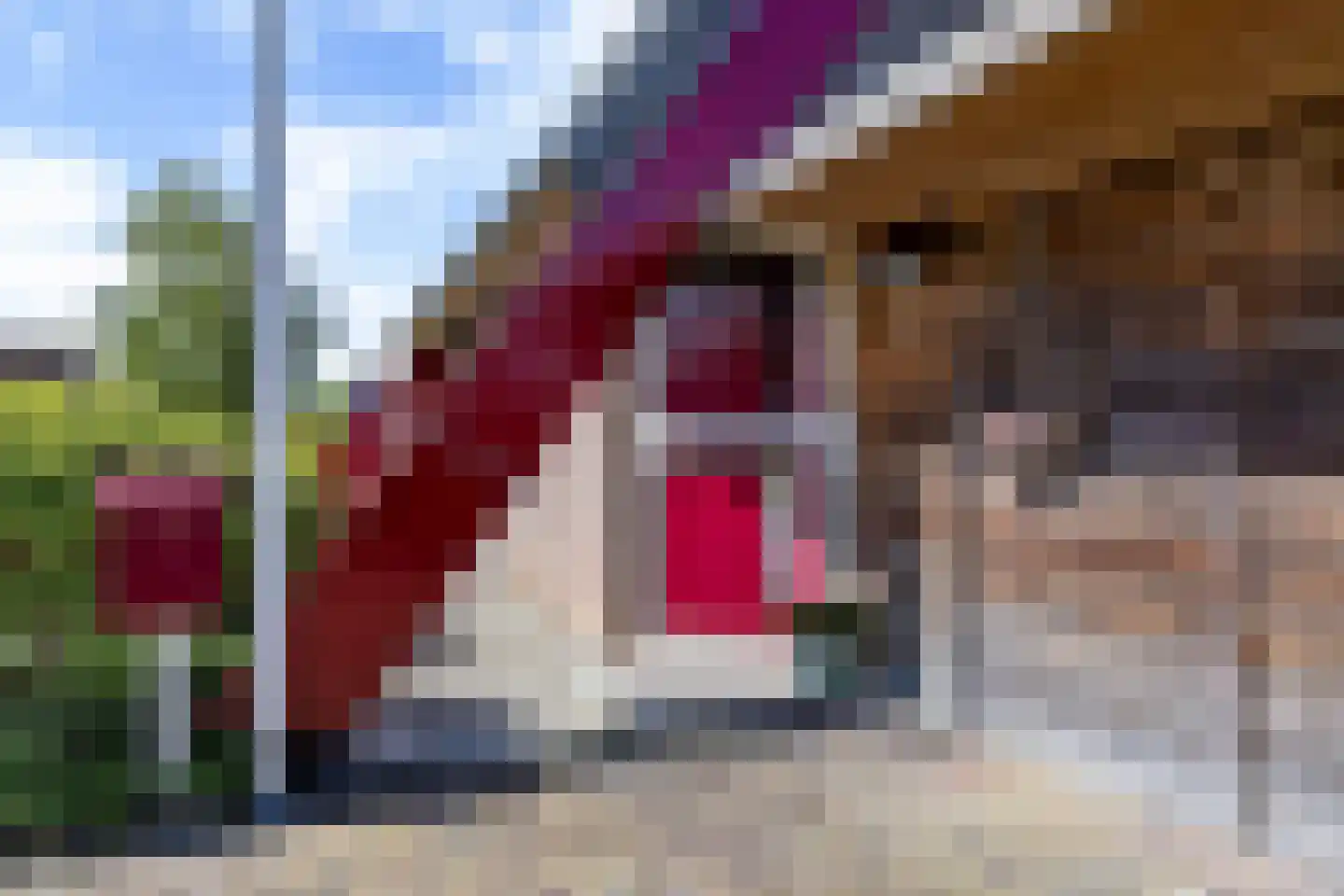 Juffer Frederikestrjitte 18 A Hallum thumbnail 14