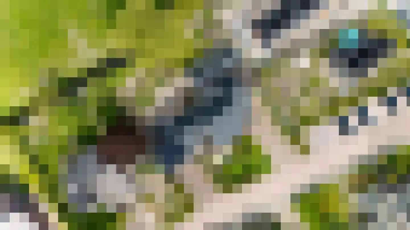 Juffer Frederikestrjitte 18 A Hallum foto 3