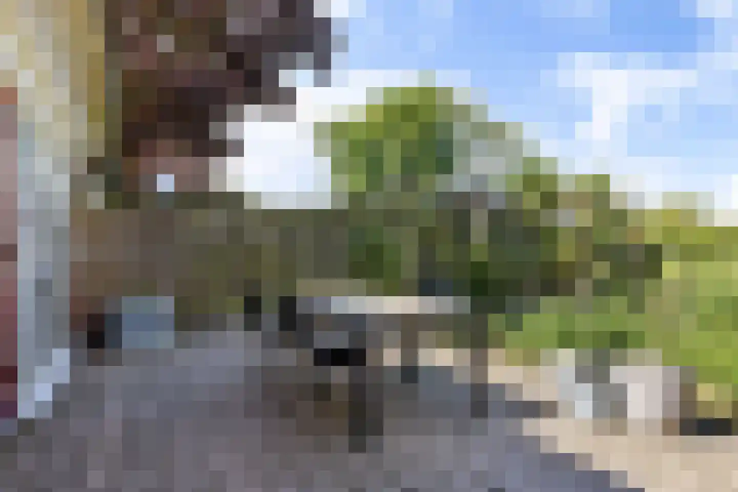 Juffer Frederikestrjitte 18 A Hallum thumbnail 37