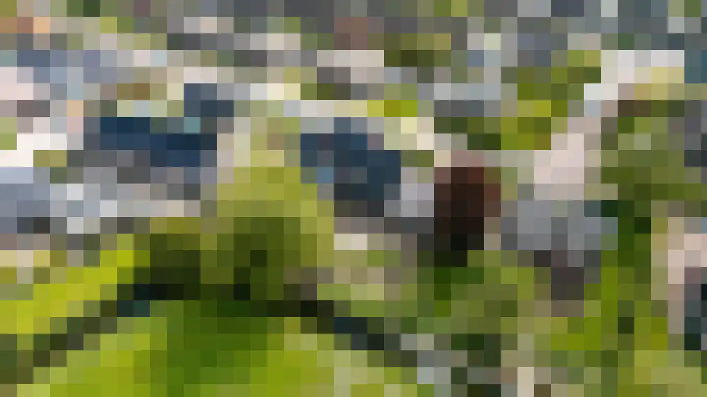 Juffer Frederikestrjitte 18 A Hallum thumbnail 4