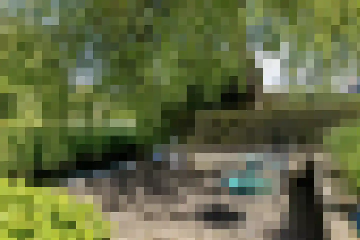 Juffer Frederikestrjitte 18 A Hallum thumbnail 41