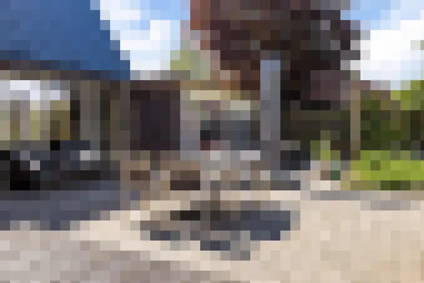 Juffer Frederikestrjitte 18 A Hallum thumbnail 50
