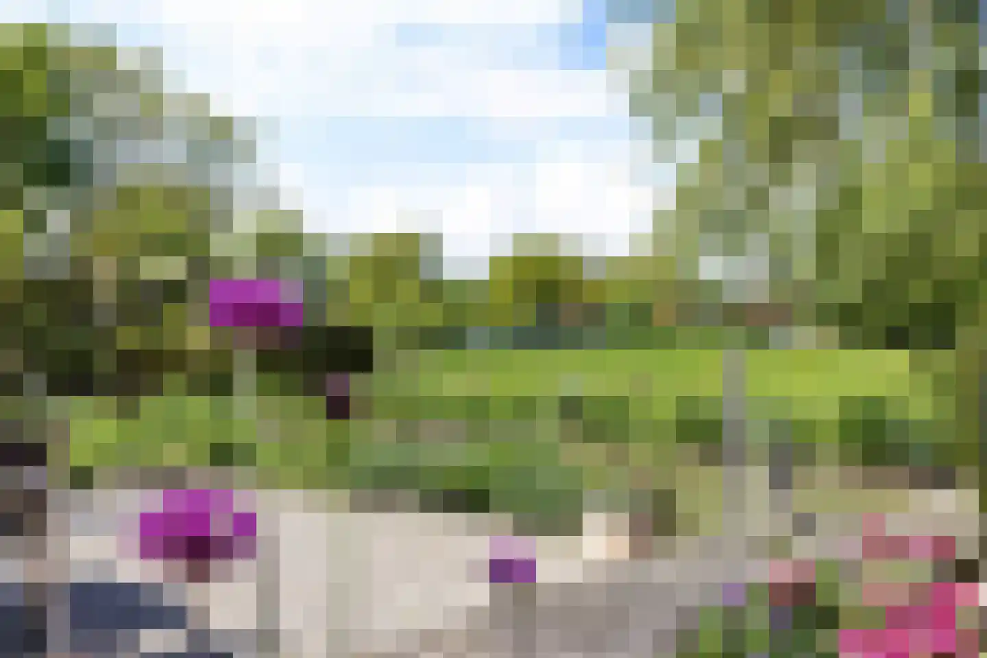 Juffer Frederikestrjitte 18 A Hallum thumbnail 51