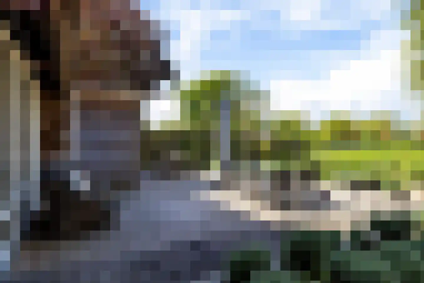 Juffer Frederikestrjitte 18 A Hallum thumbnail 52