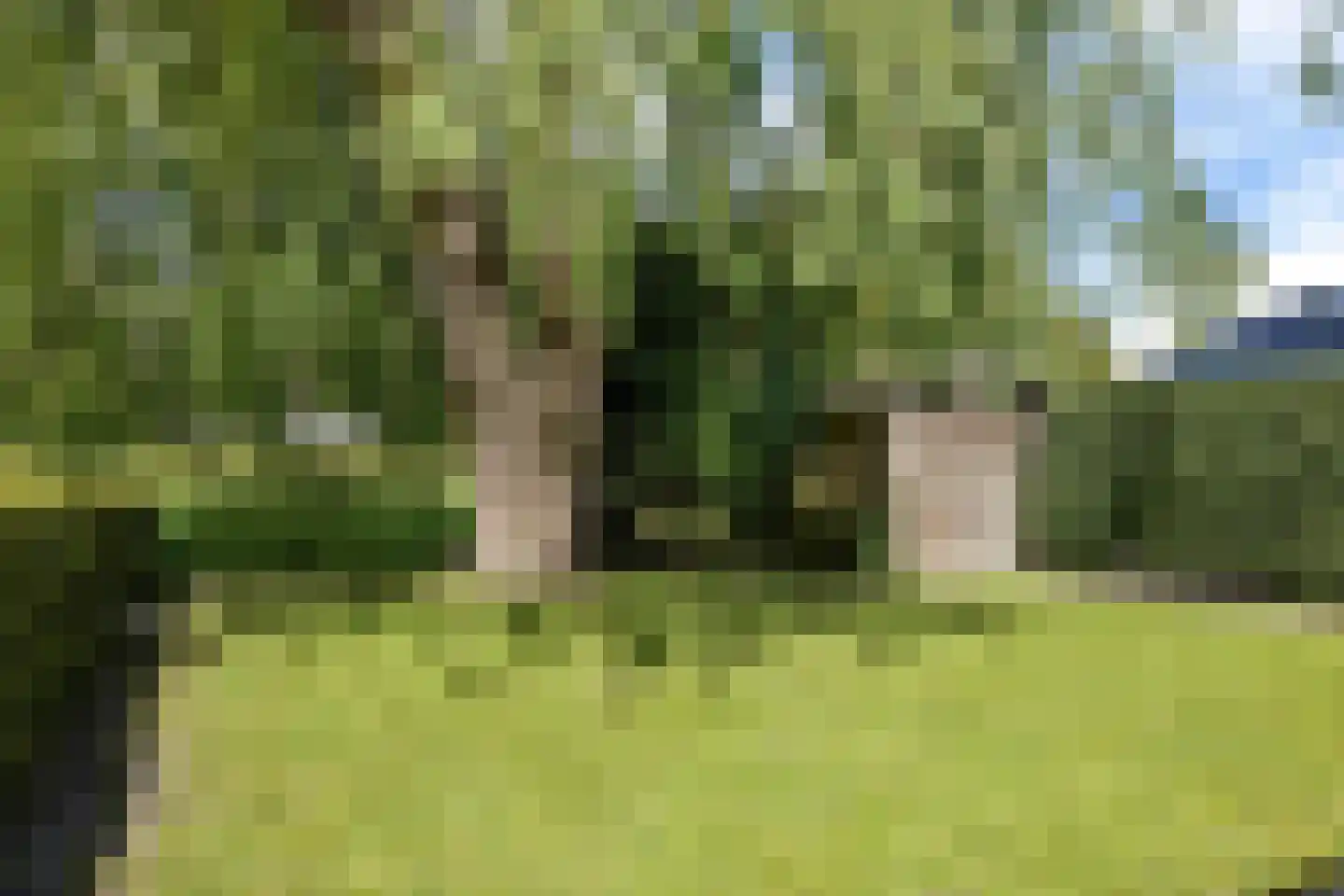 Juffer Frederikestrjitte 18 A Hallum thumbnail 53