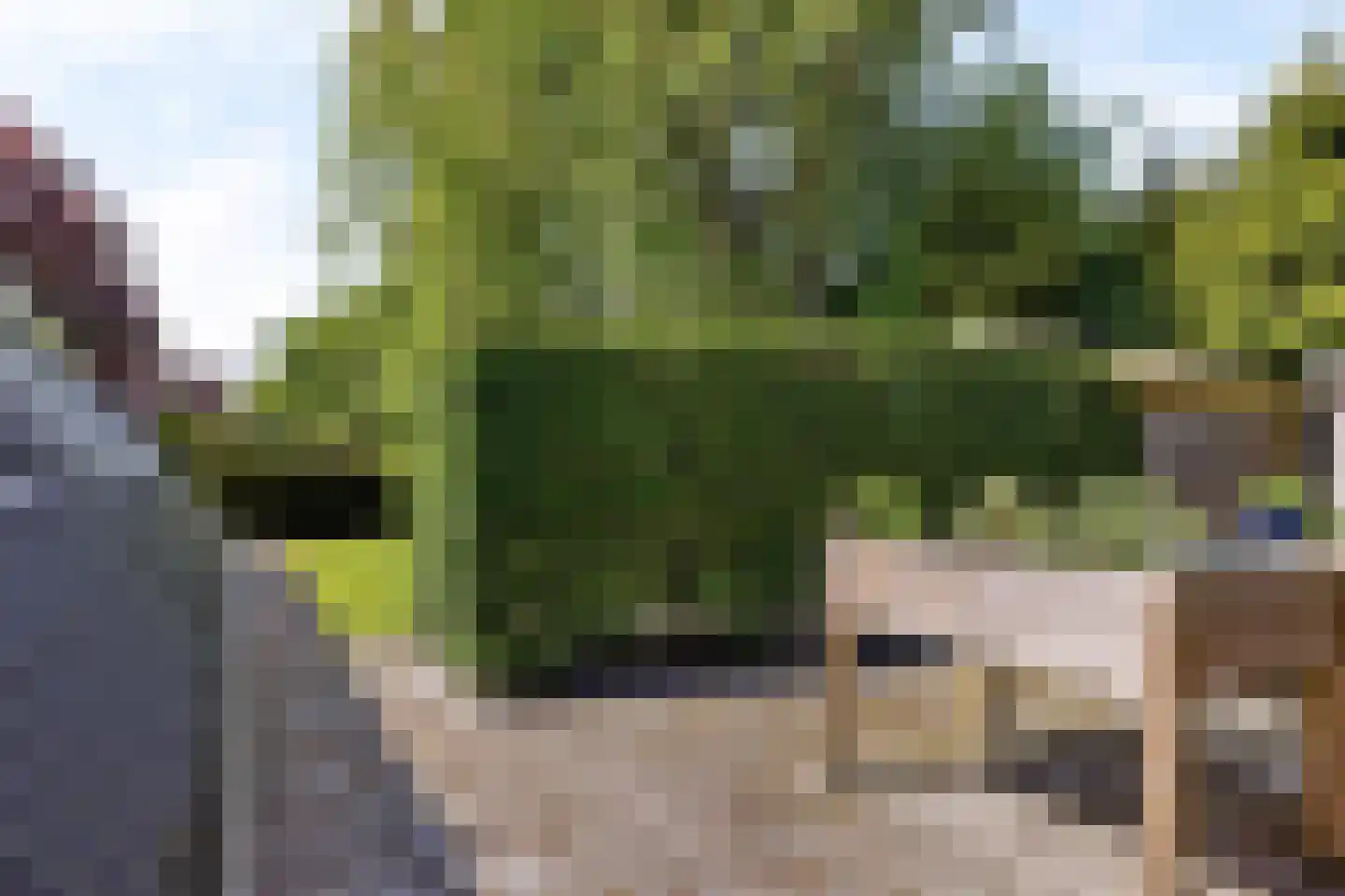 Juffer Frederikestrjitte 18 A Hallum thumbnail 57