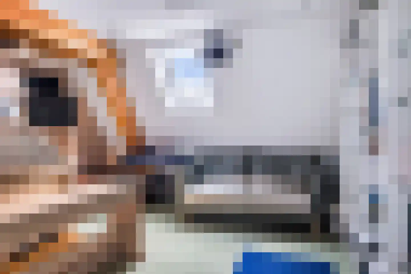 Juffer Frederikestrjitte 18 A Hallum thumbnail 64