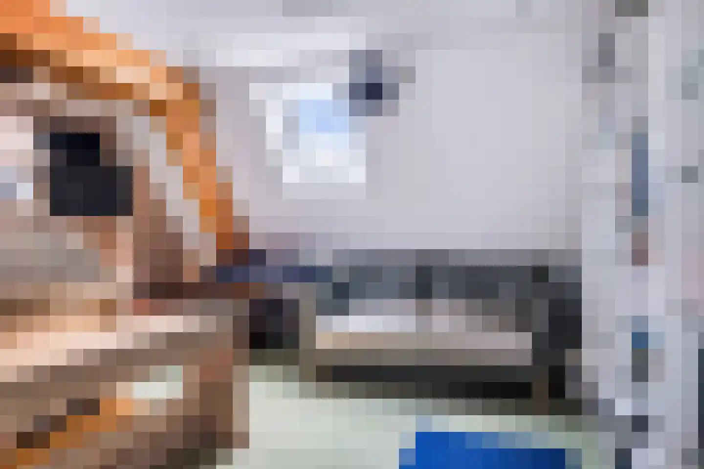 Juffer Frederikestrjitte 18 A Hallum thumbnail 65