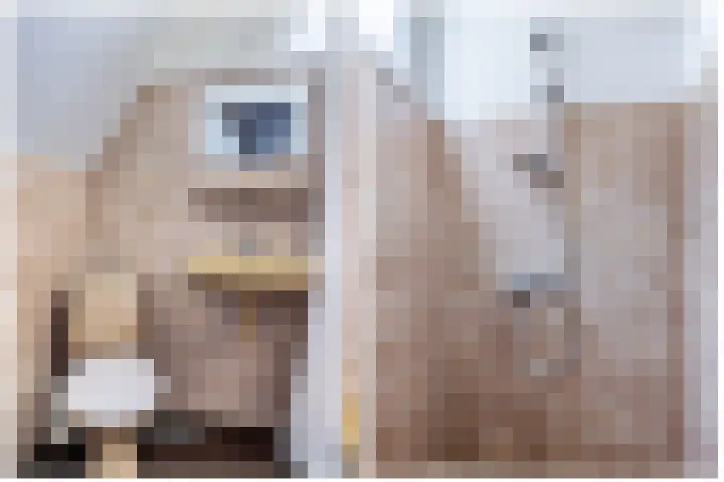 Juffer Frederikestrjitte 18 A Hallum thumbnail 82