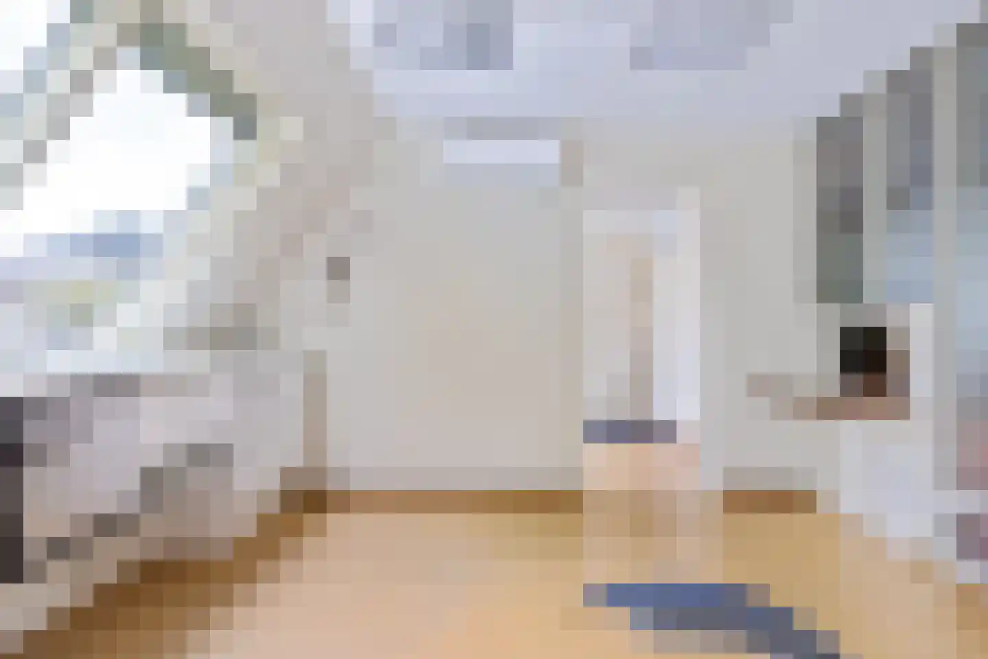 Juffer Frederikestrjitte 18 A Hallum thumbnail 86