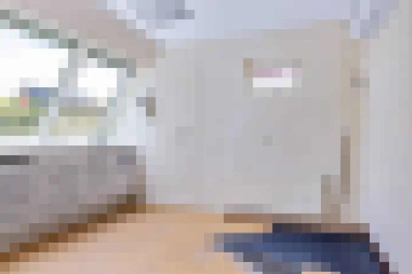 Juffer Frederikestrjitte 18 A Hallum thumbnail 87