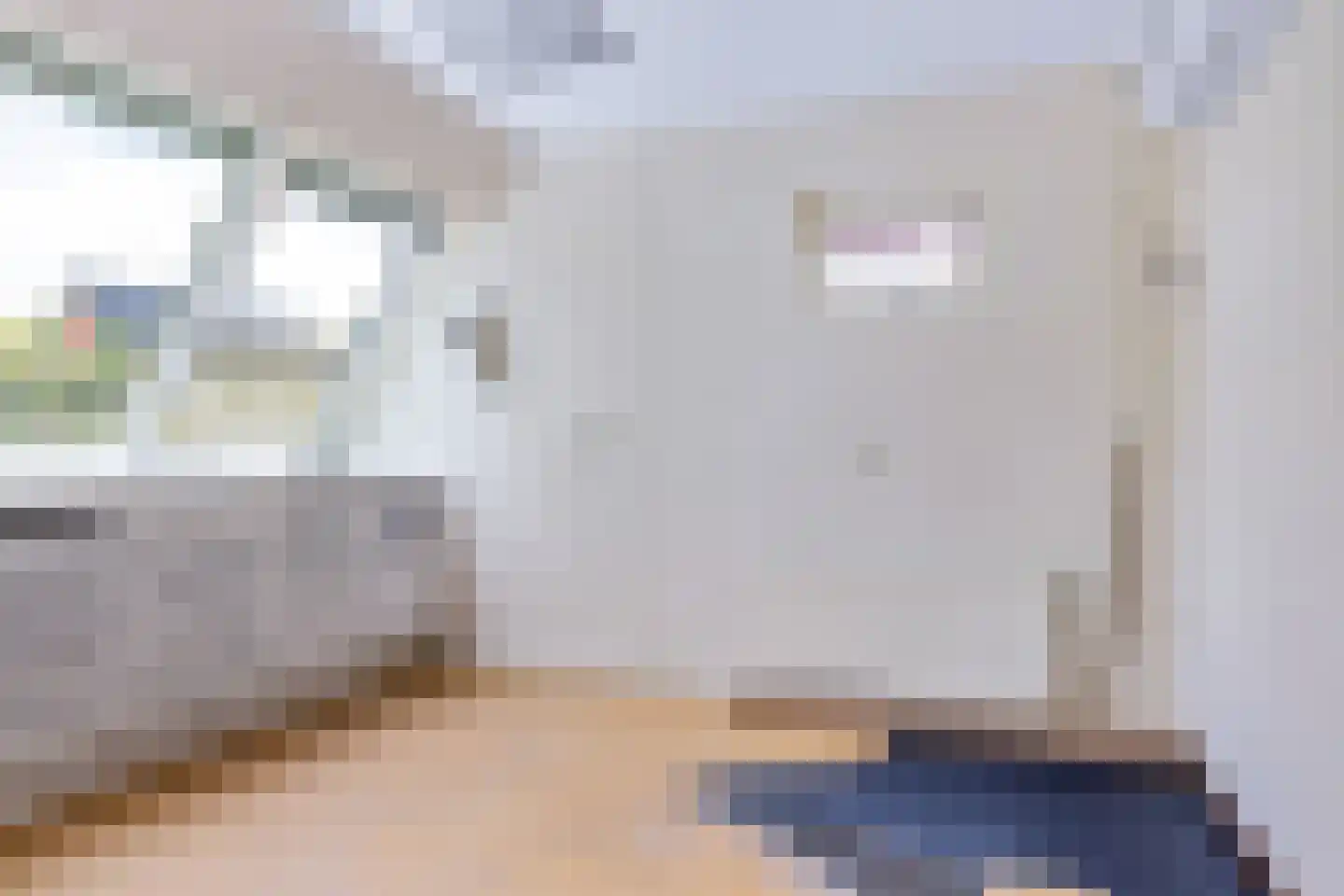 Juffer Frederikestrjitte 18 A Hallum thumbnail 88