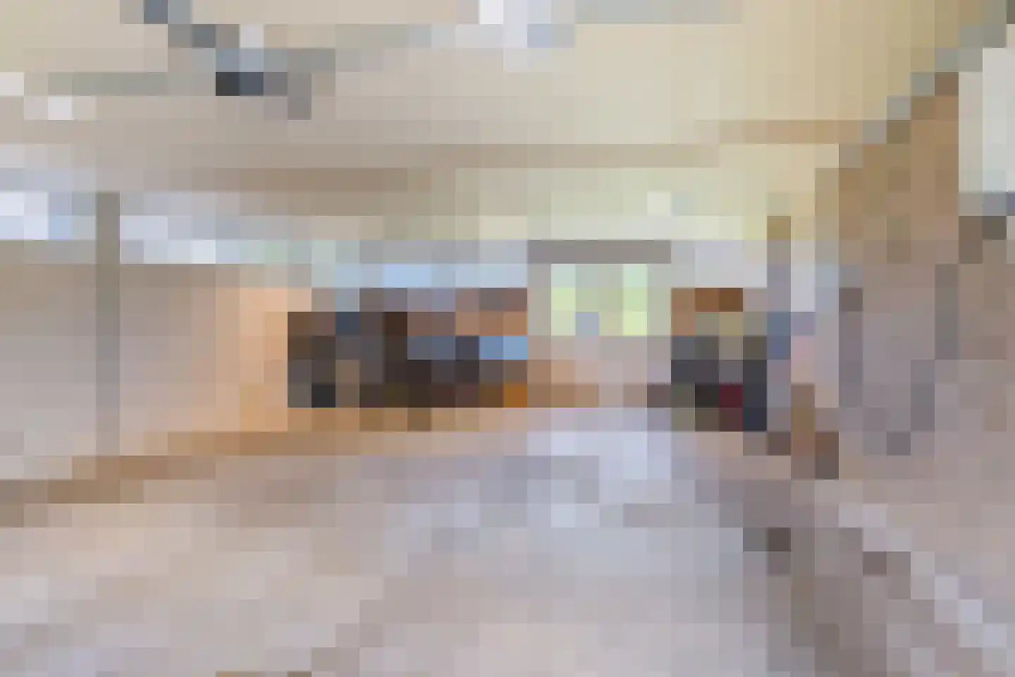 Juffer Frederikestrjitte 18 A Hallum thumbnail 91