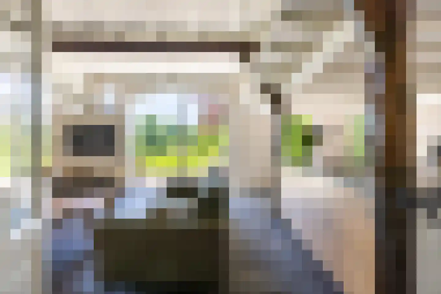 Jufferdijk 5 Harfsen thumbnail 10