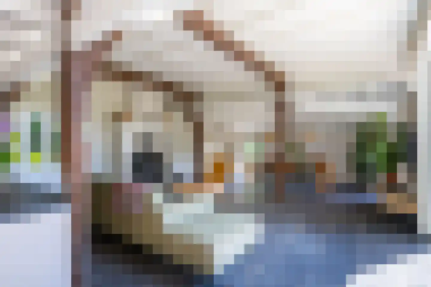 Jufferdijk 5 Harfsen thumbnail 13