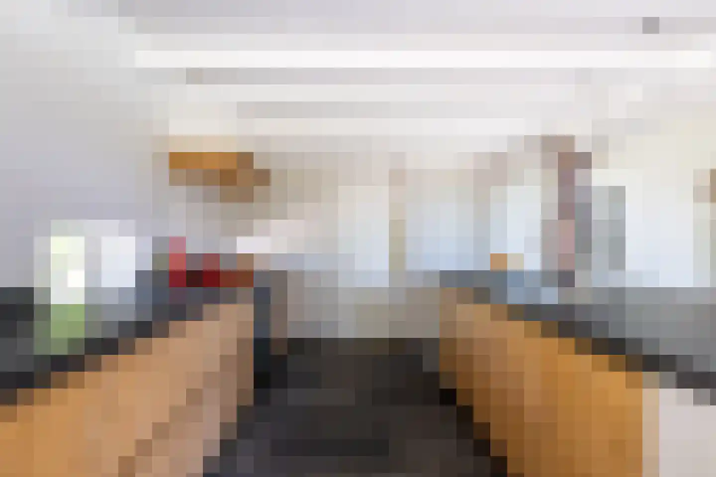 Jufferdijk 5 Harfsen thumbnail 18