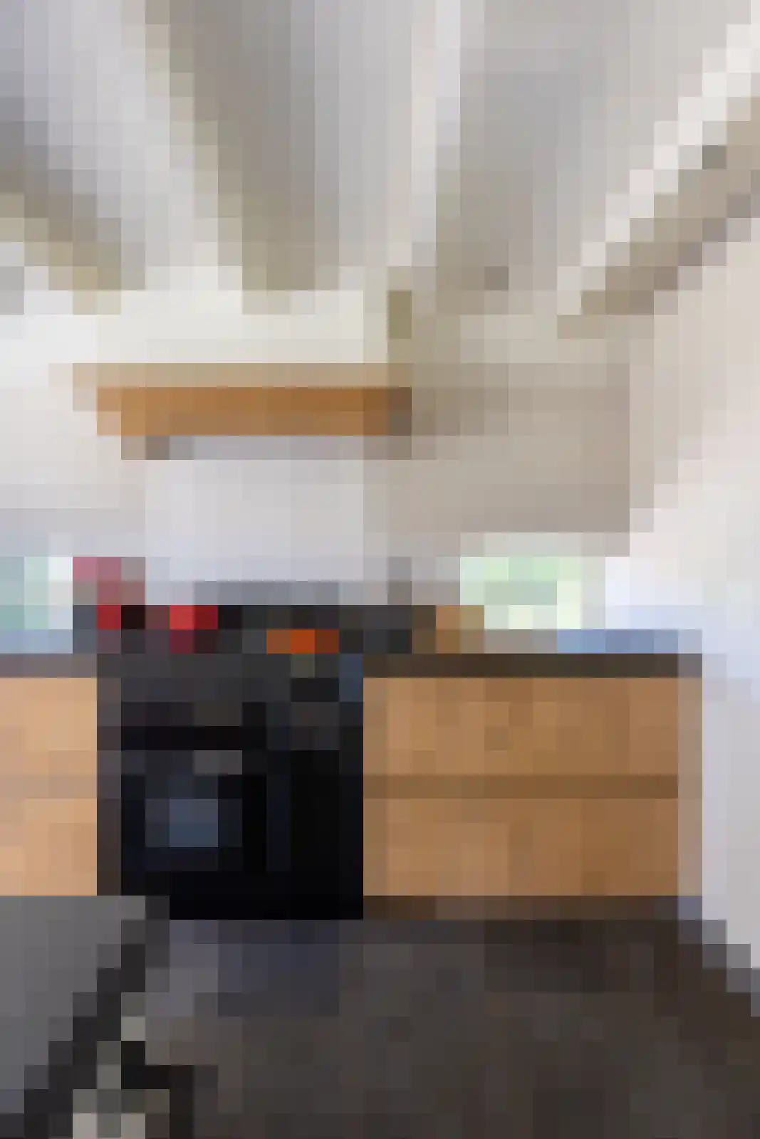Jufferdijk 5 Harfsen thumbnail 19