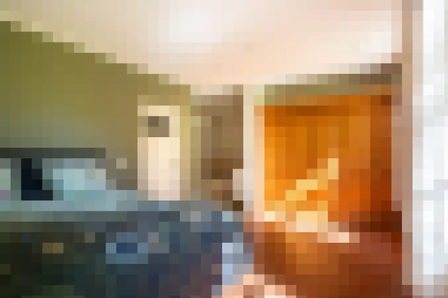 Jufferdijk 5 Harfsen thumbnail 25