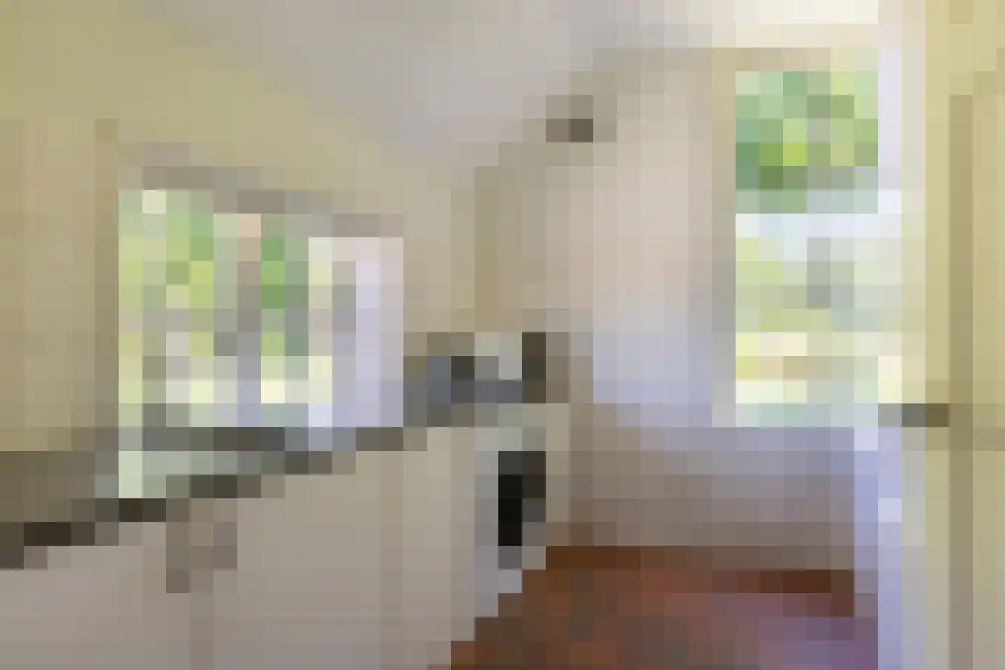 Jufferdijk 5 Harfsen thumbnail 27