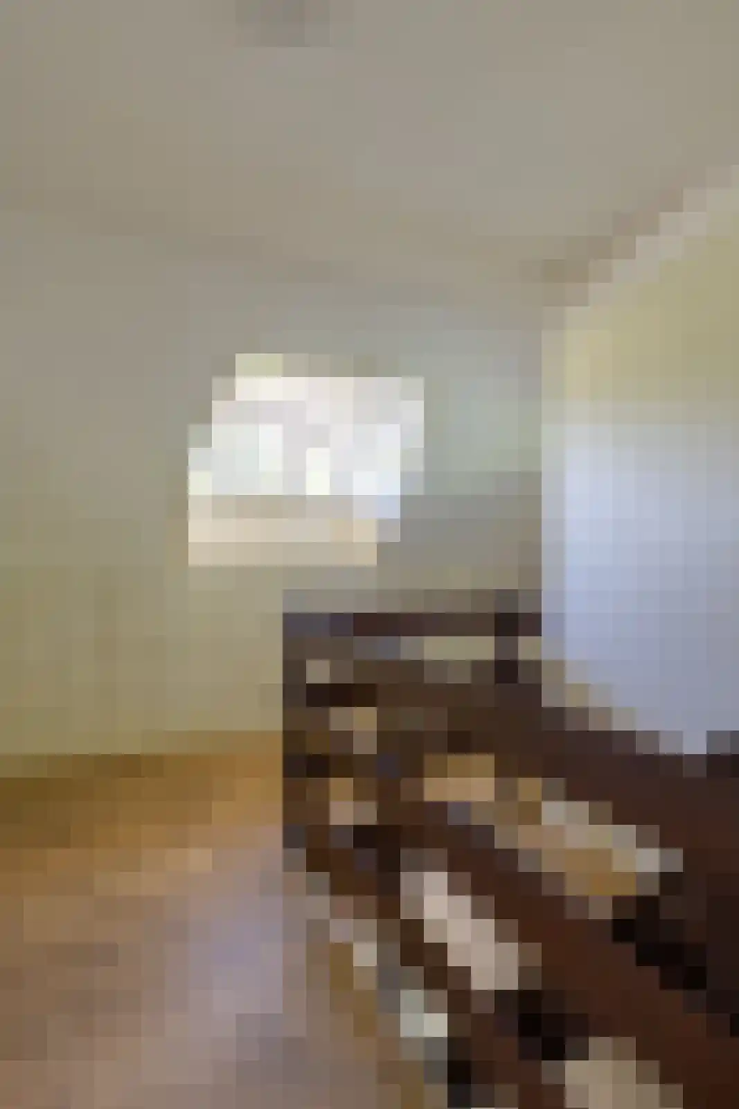 Jufferdijk 5 Harfsen thumbnail 31