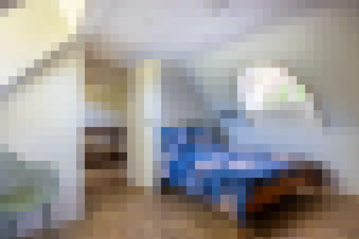 Jufferdijk 5 Harfsen thumbnail 32