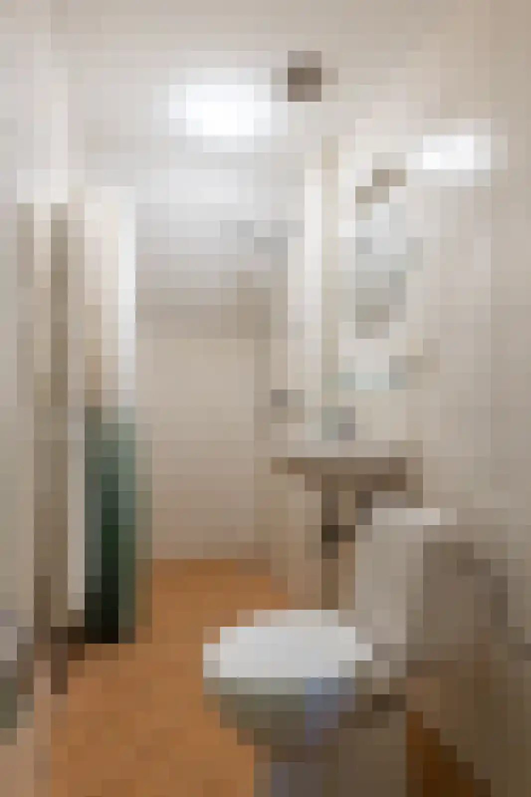 Jufferdijk 5 Harfsen thumbnail 35