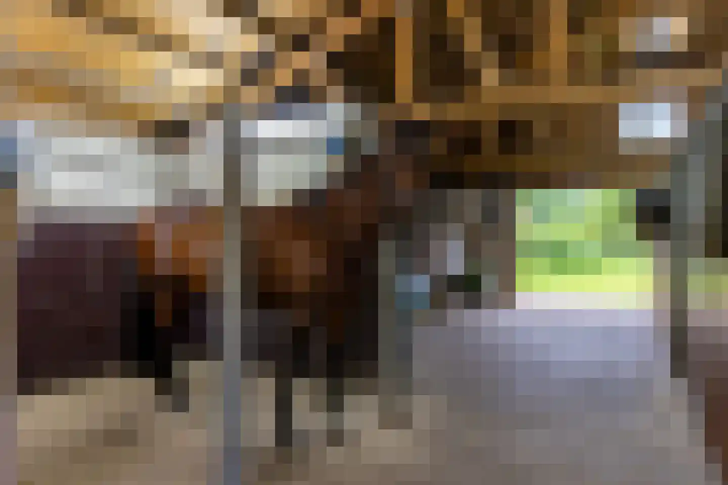 Jufferdijk 5 Harfsen thumbnail 37