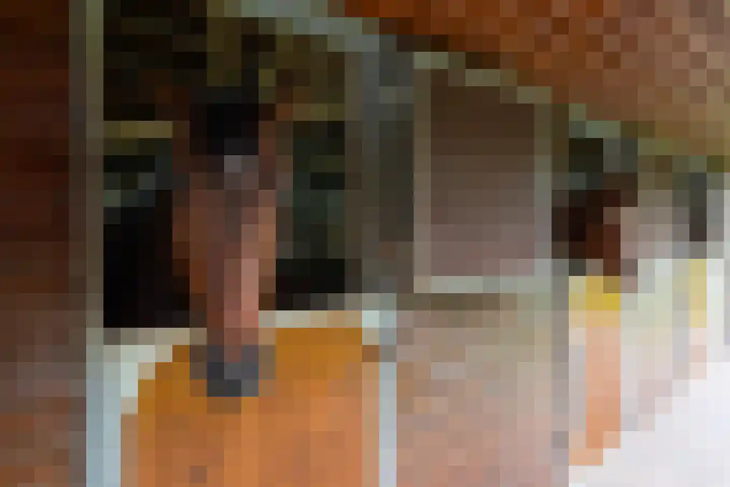 Jufferdijk 5 Harfsen thumbnail 38