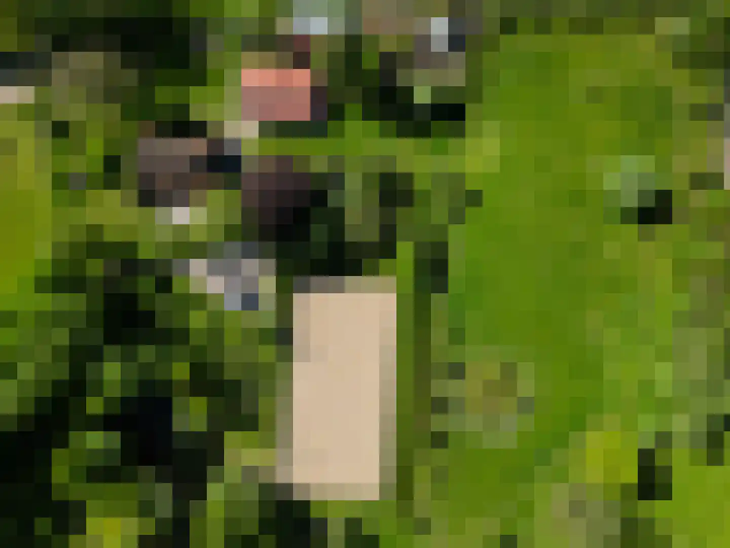 Jufferdijk 5 Harfsen thumbnail 4