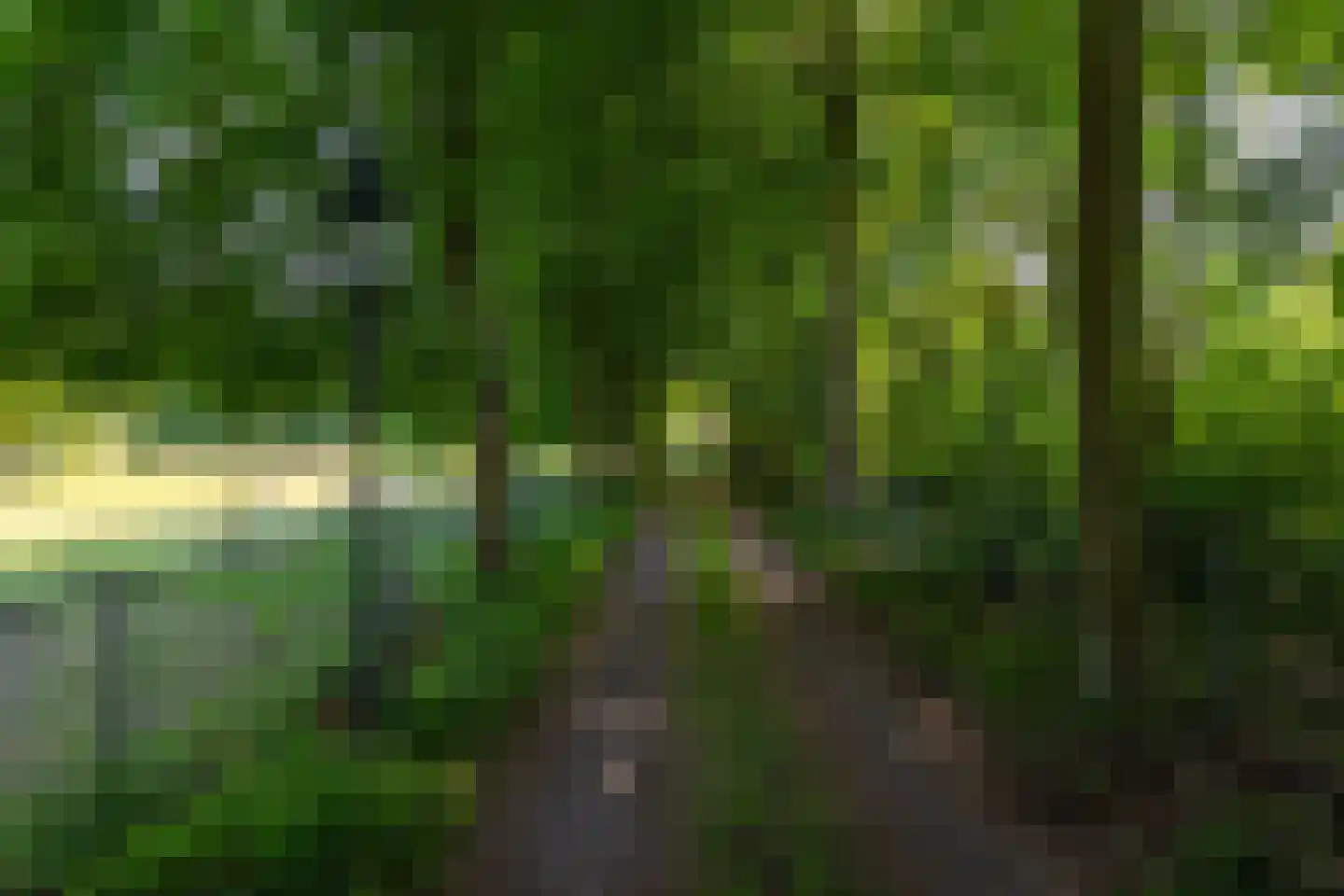 Jufferdijk 5 Harfsen thumbnail 40